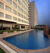 new delhi