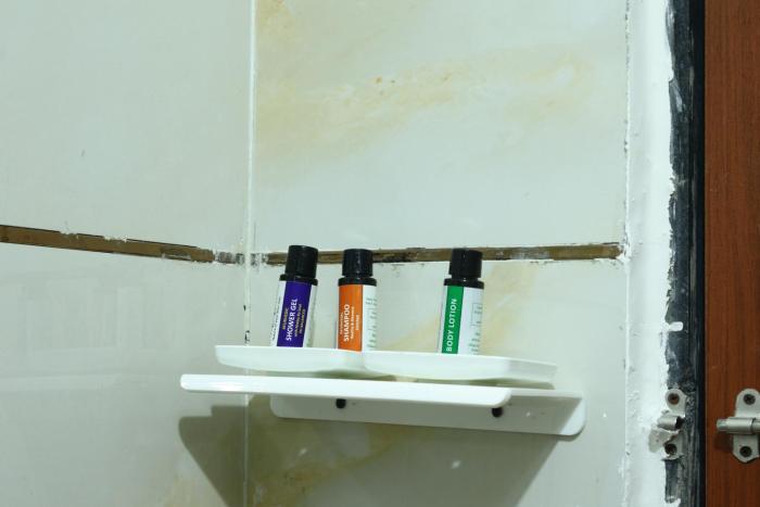 the rajputana palace