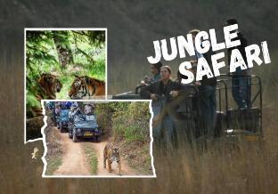 corbett cottage resort