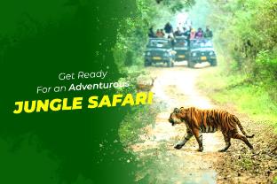 corbett cottage resort