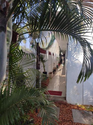 Vanam Soulful Stays,,2 star