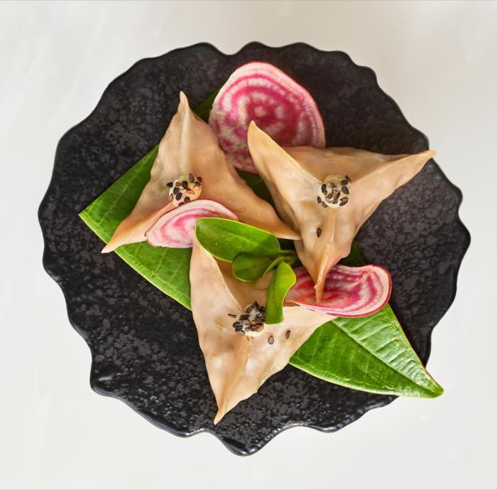 anantara jewel bagh jaipur