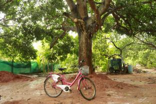 pondicherry
