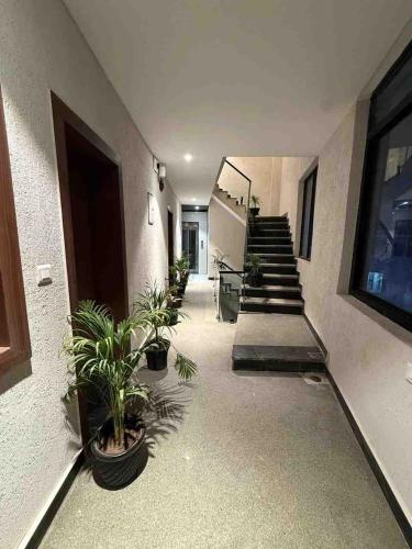 serenity hotel rishikesh