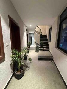 serenity hotel rishikesh