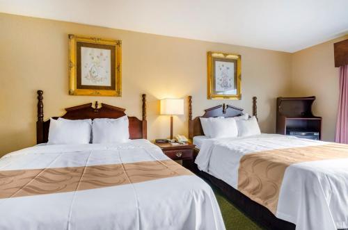 precious hotel