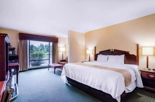 precious hotel