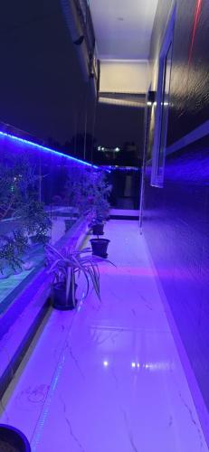 teja residency near isha yoga foundation