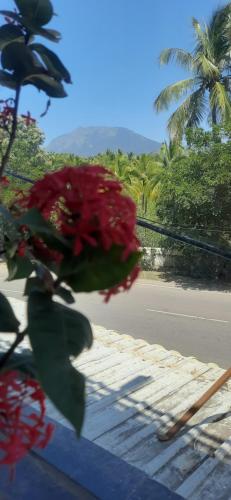 teja residency near isha yoga foundation