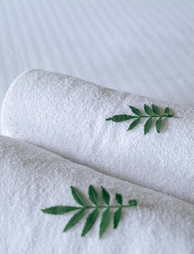 the cardamom thekkady