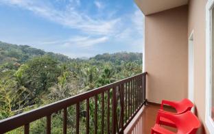 the cardamom thekkady
