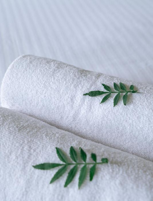 the cardamom thekkady