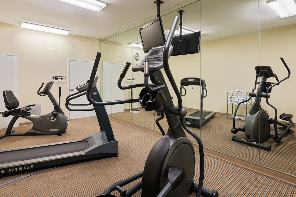 holiday inn express and suites new iberia avery island