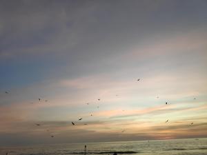 redkar rooms gokarna beach front ac and non ac rooms