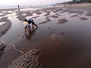 redkar rooms gokarna beach front ac and non ac rooms