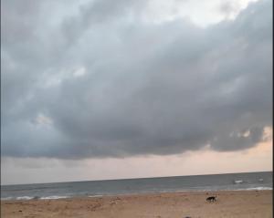 redkar rooms gokarna beach front ac and non ac rooms