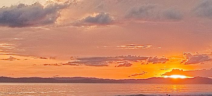 arina island resort a bergamont group