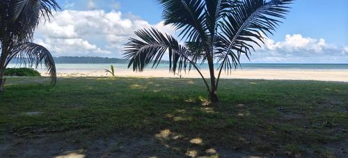 arina island resort a bergamont group