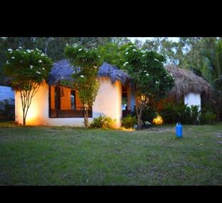 Olive Jungle Resort,,3 star