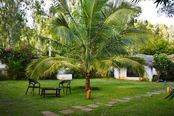 olive jungle resort