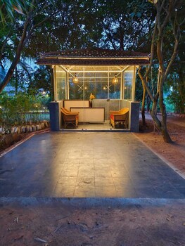 olive jungle resort