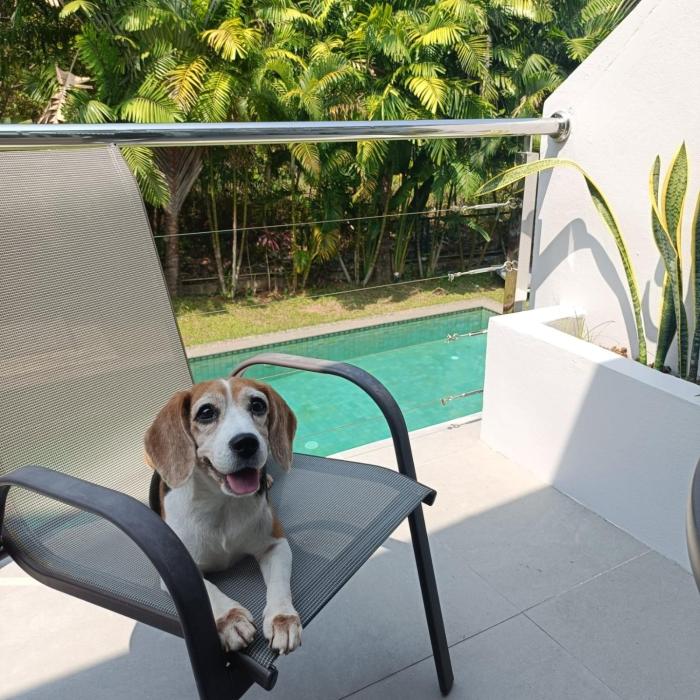 kokotel khao lak isara casa