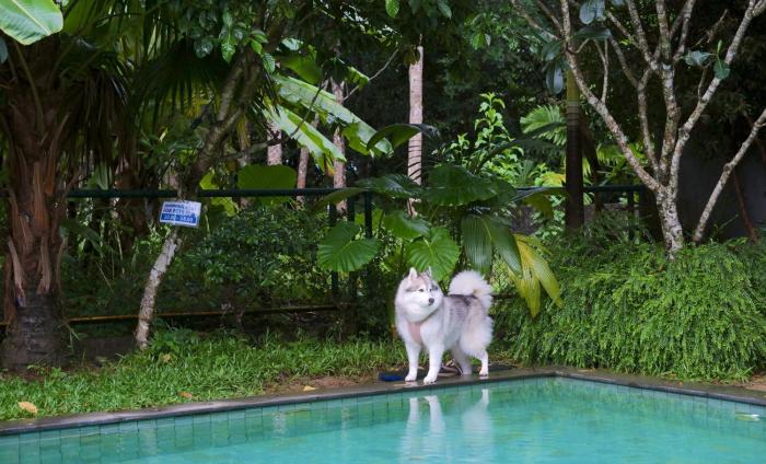 kokotel khao lak isara casa