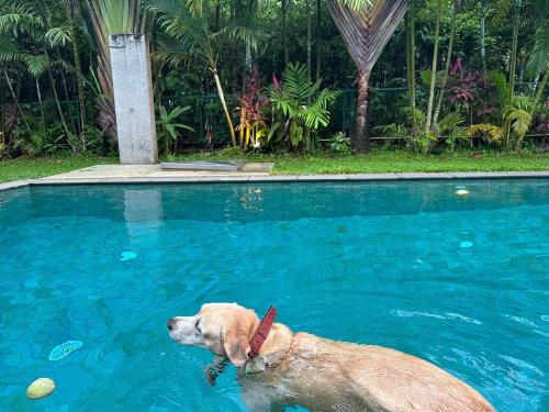 kokotel khao lak isara casa