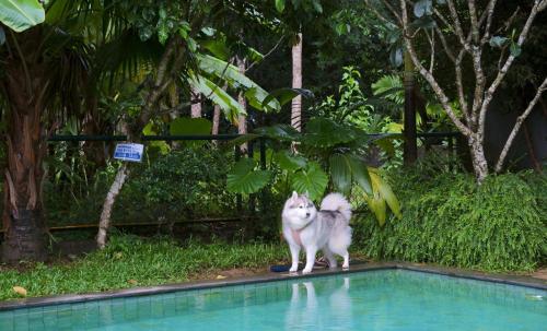 kokotel khao lak isara casa