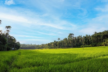 ethnic villa wayanad