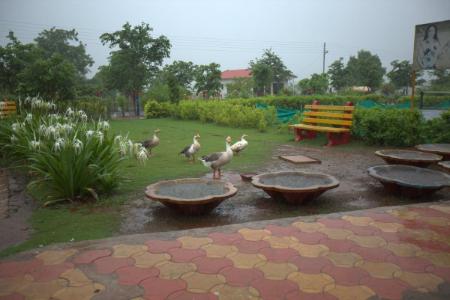 break the routine by mynirvana stays