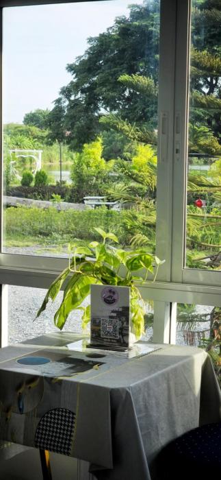 tiny island lake lodge