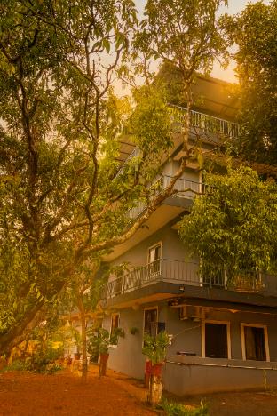 arambol bliss hote apartments