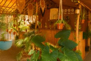 arambol bliss hote apartments