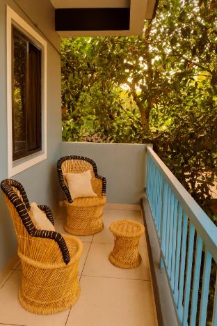 arambol bliss hote apartments