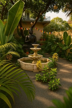 arambol bliss hote apartments