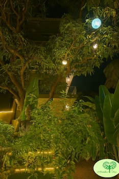 arambol bliss hote apartments