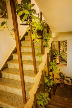 arambol bliss hote apartments