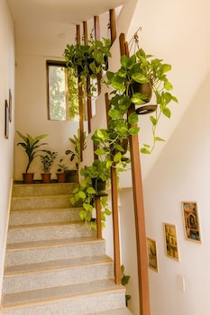 arambol bliss hote apartments