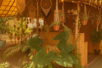 arambol bliss hote apartments