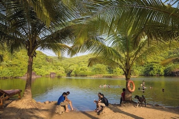 arambol bliss hote apartments