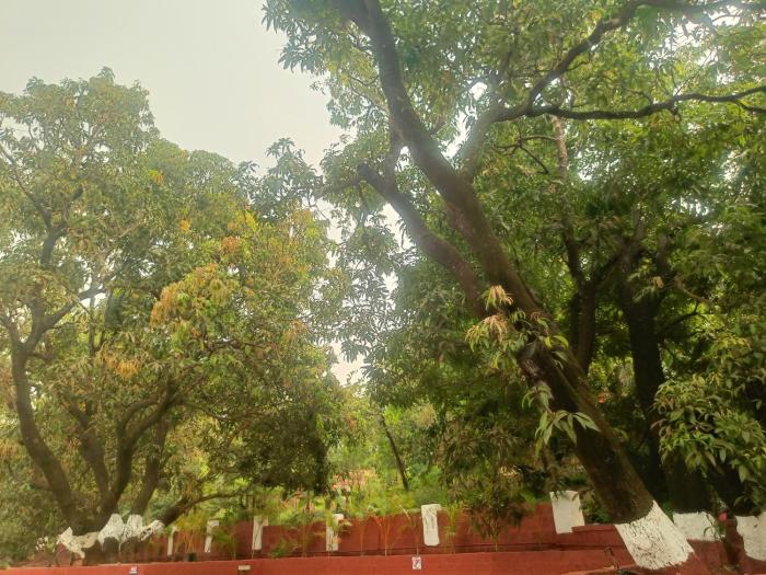 shantadurga beachside homestay