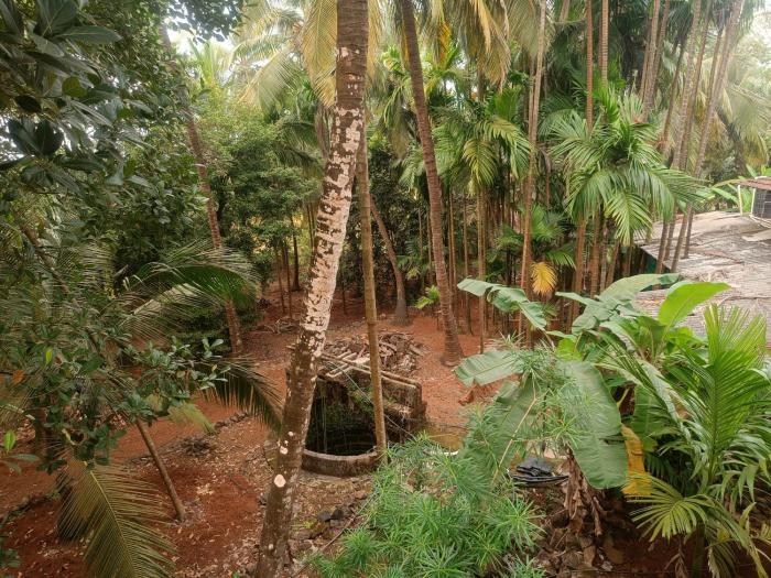 shantadurga beachside homestay