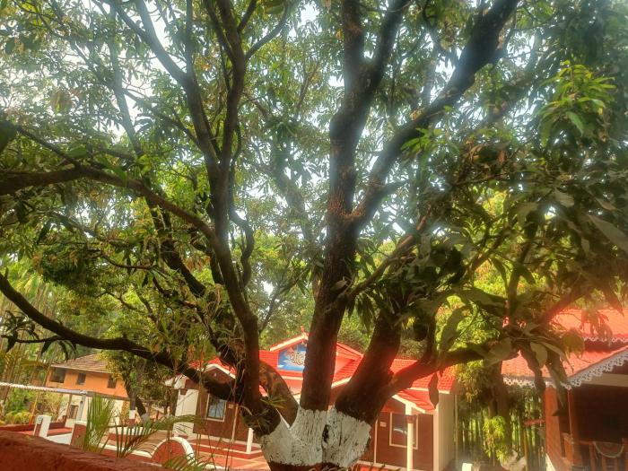 shantadurga beachside homestay