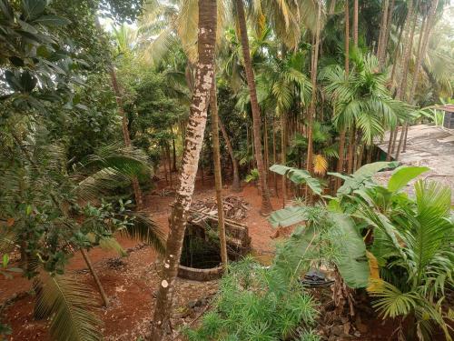 shantadurga beachside homestay