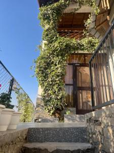 katies abode hartola