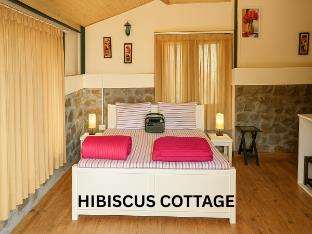 bougainvilla mountain retreat