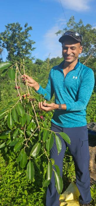 bougainvilla mountain retreat