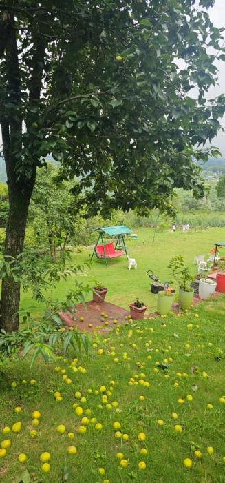 bougainvilla mountain retreat