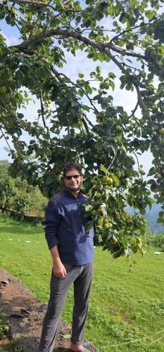bougainvilla mountain retreat